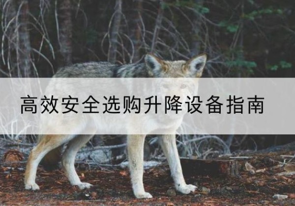 曹县升降货梯厂家推荐-*安全选购升降设备指南