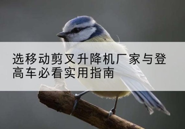 曹县电动升降机厂家-选移动剪叉升降机厂家与登高车必看实用指南